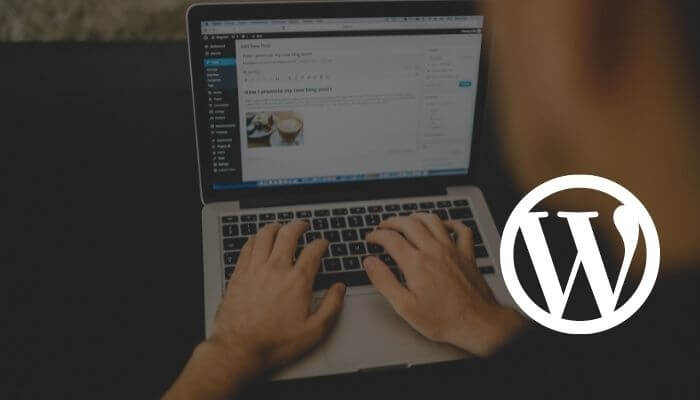 que son plugins de la herramienta WordPress en internet