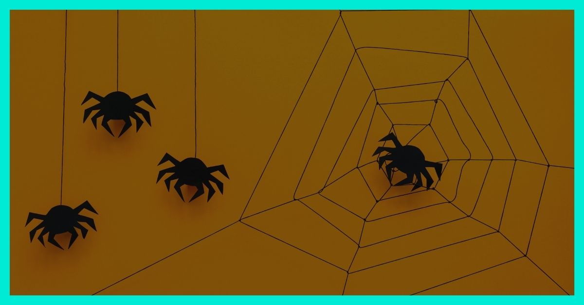 que es una araña web