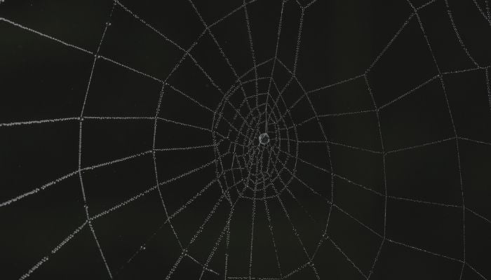 web crawler o web bot