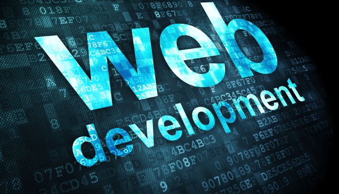 Agencia de Desarrollo Web Transformando Ideas en Experiencias Digitales (2)
